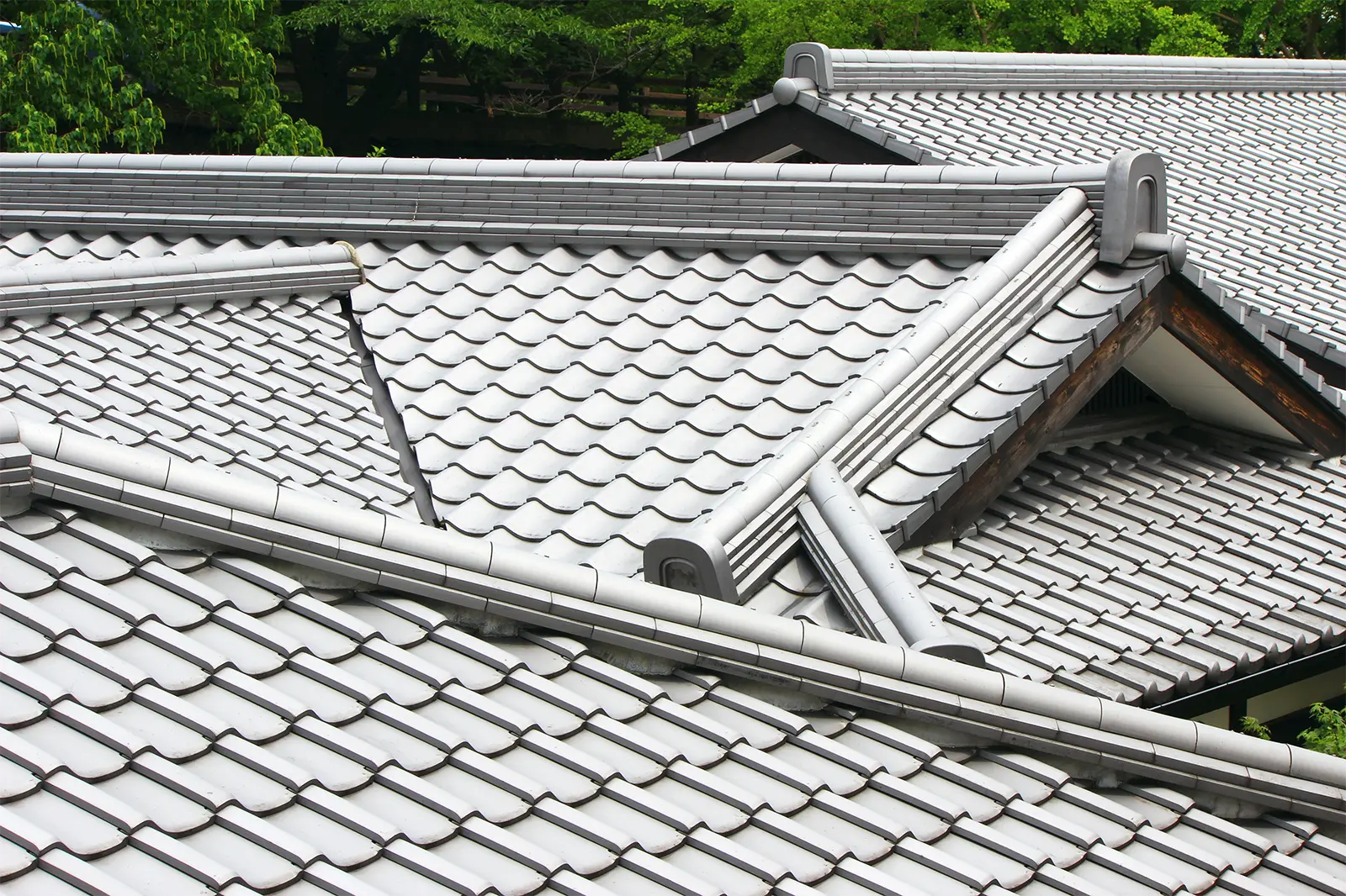 Drone Roofer